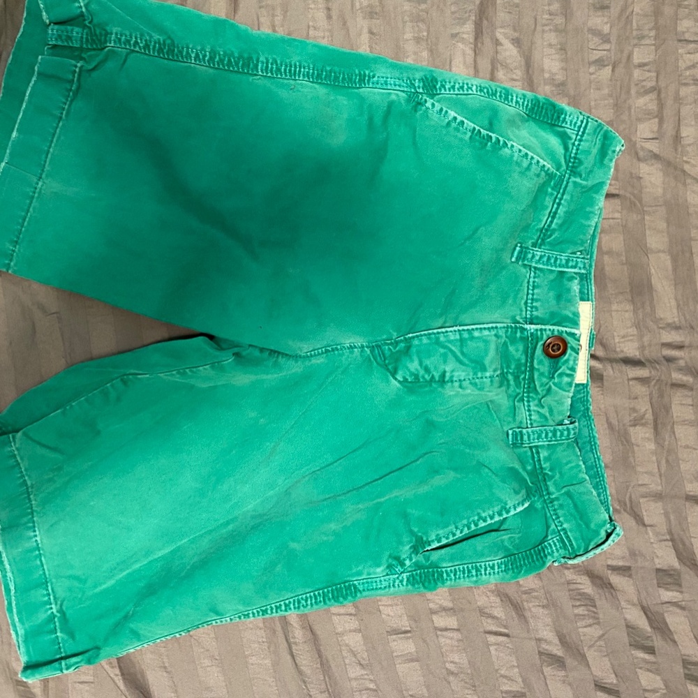 Hollister Men’s Shorts Size 29 Color Green/Blue